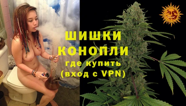 мяу мяу мука Абаза