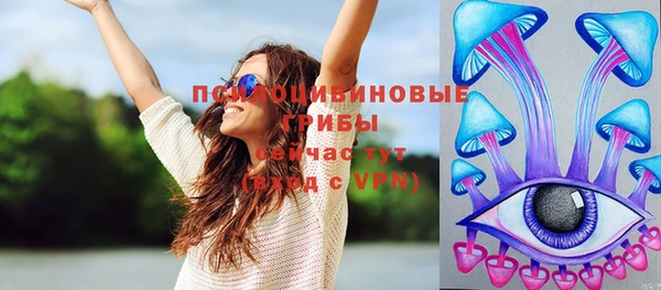 мяу мяу мука Абаза